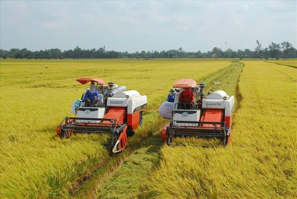 Tân Bình sau sáp nhập: Khi nghị quyết bắt đầu từ những việc gần dân