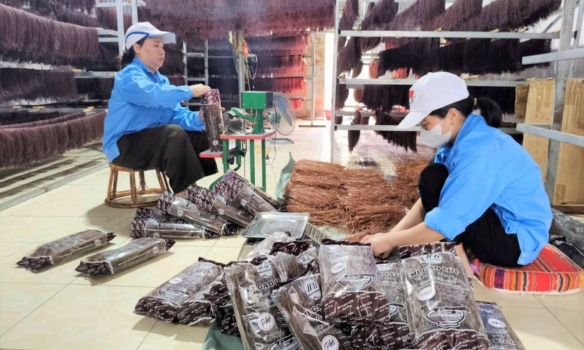 Điện Biên thúc đẩy kinh tế tư nhân bằng các giải pháp đồng bộ