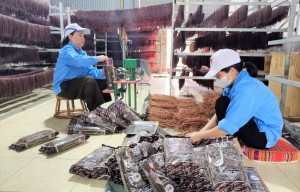 Điện Biên thúc đẩy kinh tế tư nhân bằng các giải pháp đồng bộ
