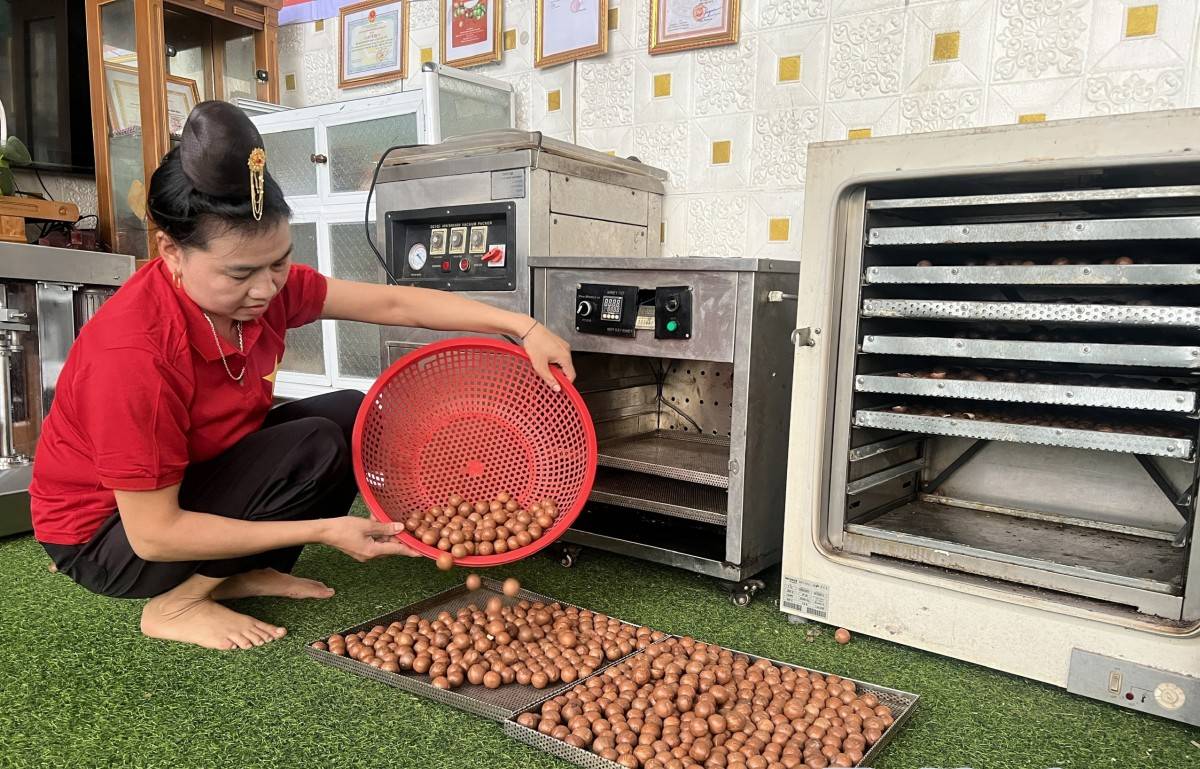 Điện Biên thúc đẩy kinh tế tư nhân bằng các giải pháp đồng bộ