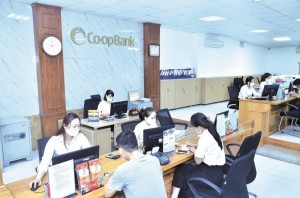 Chính phủ bổ sung 5.000 tỷ đồng vốn điều lệ cho Ngân hàng Hợp tác xã Việt Nam