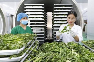 TP. Hồ Chí Minh hỗ trợ doanh nghiệp nâng năng lực hội nhập, mở rộng thị trường cho nông sản chế biến