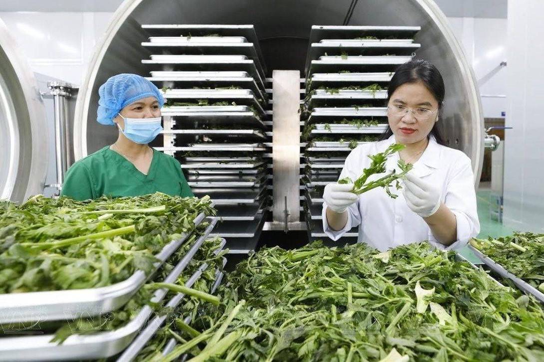 TP. Hồ Chí Minh hỗ trợ doanh nghiệp nâng năng lực hội nhập, mở rộng thị trường cho nông sản chế biến