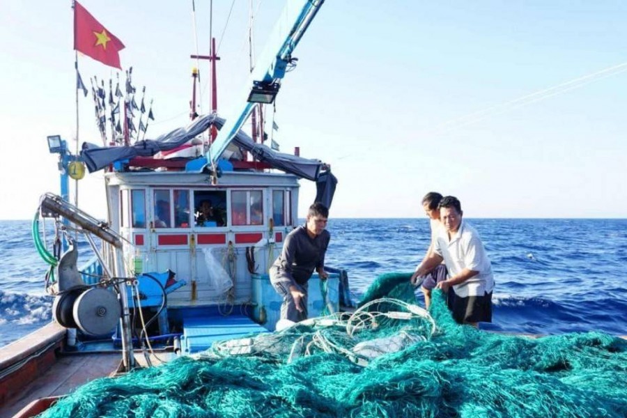 “Thẻ vàng” IUU và phép thử của nghề cá