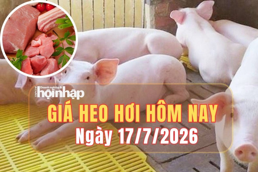 Giá heo hơi hôm nay 17/7: Giá heo hơi chững lại sau chuỗi ngày tăng, dao động 62.000 - 67.000 đồng/kg
