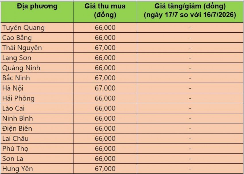 Bảng giá heo hơi tại miền Bắc hôm nay 17/7/2026