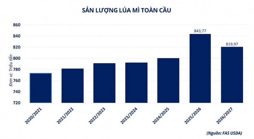 Giá lúa mì thế giới lập đỉnh hai tháng: Nguồn cung thắt chặt