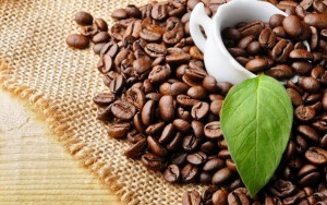 Xuất khẩu cà phê đứng trước cơ hội tăng tốc nhờ giá phục hồi và chuyển đổi xanh