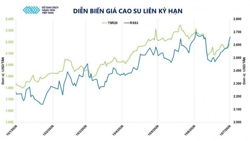 Giá cao su leo dốc trước phép thử cung - cầu