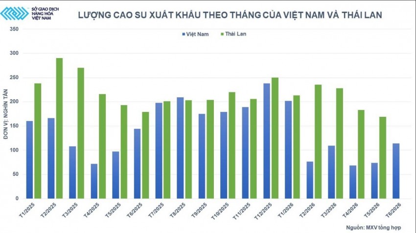 Giá cao su leo dốc trước phép thử cung - cầu