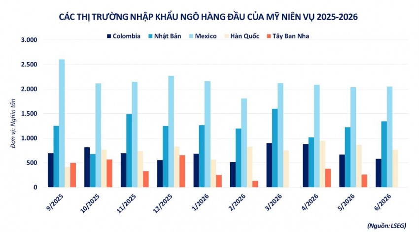 Giá ngô rời đỉnh hơn một tháng: Sức ép từ nguồn cung và nhu cầu nội địa Mỹ