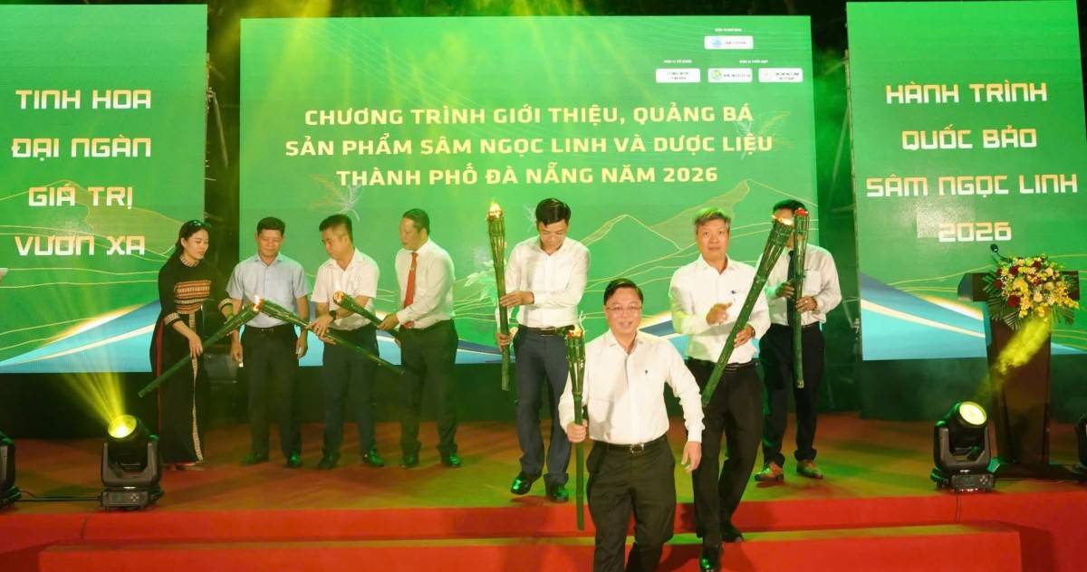 Đà Nẵng tôn vinh văn hóa dược liệu Sâm Ngọc Linh