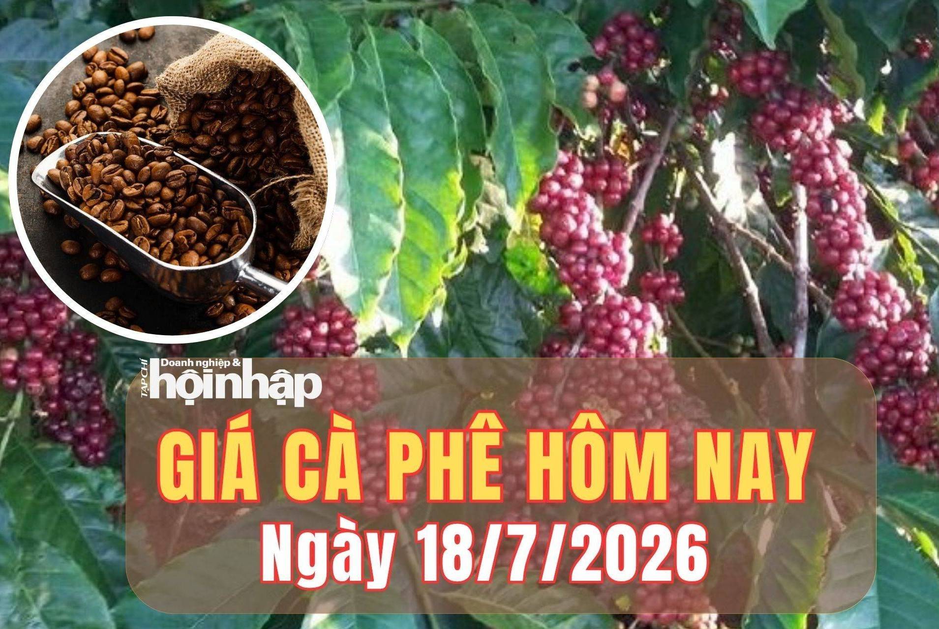 Giá cà phê hôm nay 18/7/2026: Giá cà phê trong nước đảo chiều giảm mạnh, thế giới đồng loạt khởi sắc