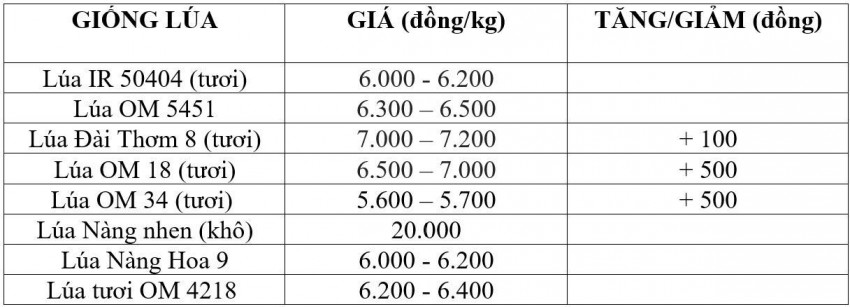 Bảng giá lúa hôm nay 18/7/2026