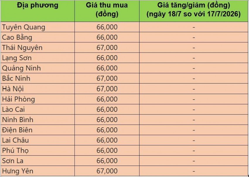 Bảng giá heo hơi tại miền Bắc hôm nay 18/7/2026
