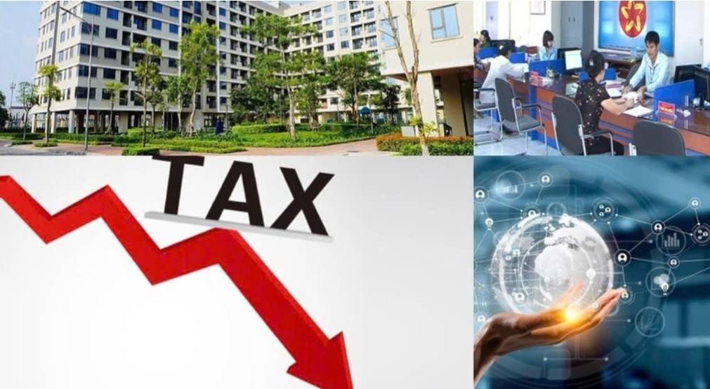 Điều doanh nghiệp mong muốn nhất là được hoạt động trong môi trường kinh doanh ổn định, minh bạch, thông thoáng, giảm gánh nặng thủ tục và chi phí tuân thủ. 
