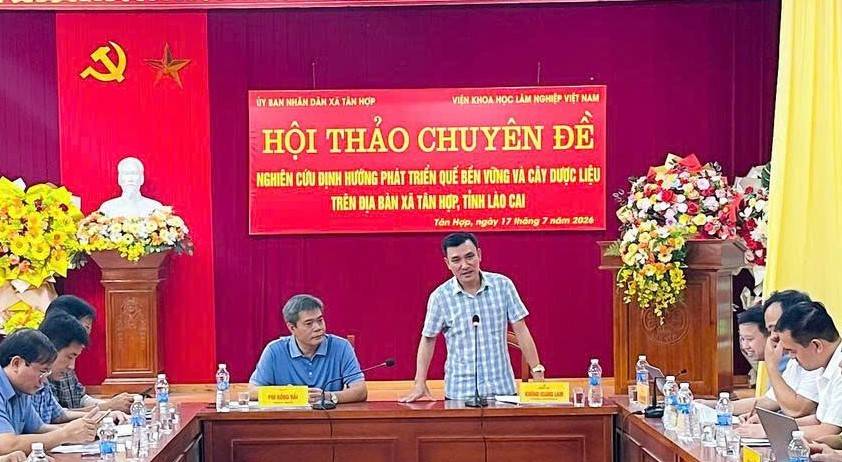 Kinh tế dưới tán rừng: Hướng làm giàu mới từ quế và dược liệu ở Lào Cai