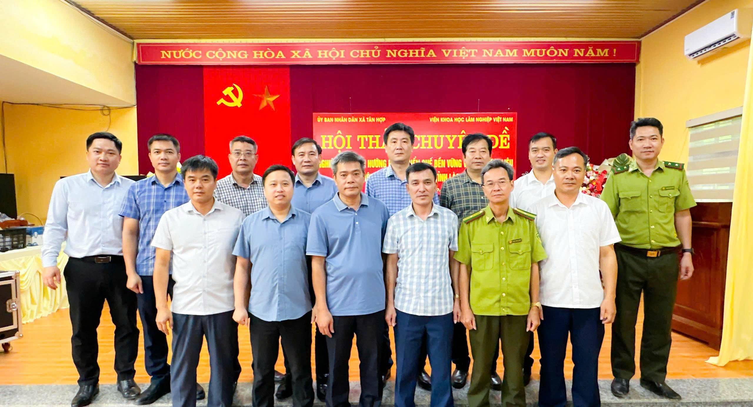 Kinh tế dưới tán rừng: Hướng làm giàu mới từ quế và dược liệu ở Lào Cai
