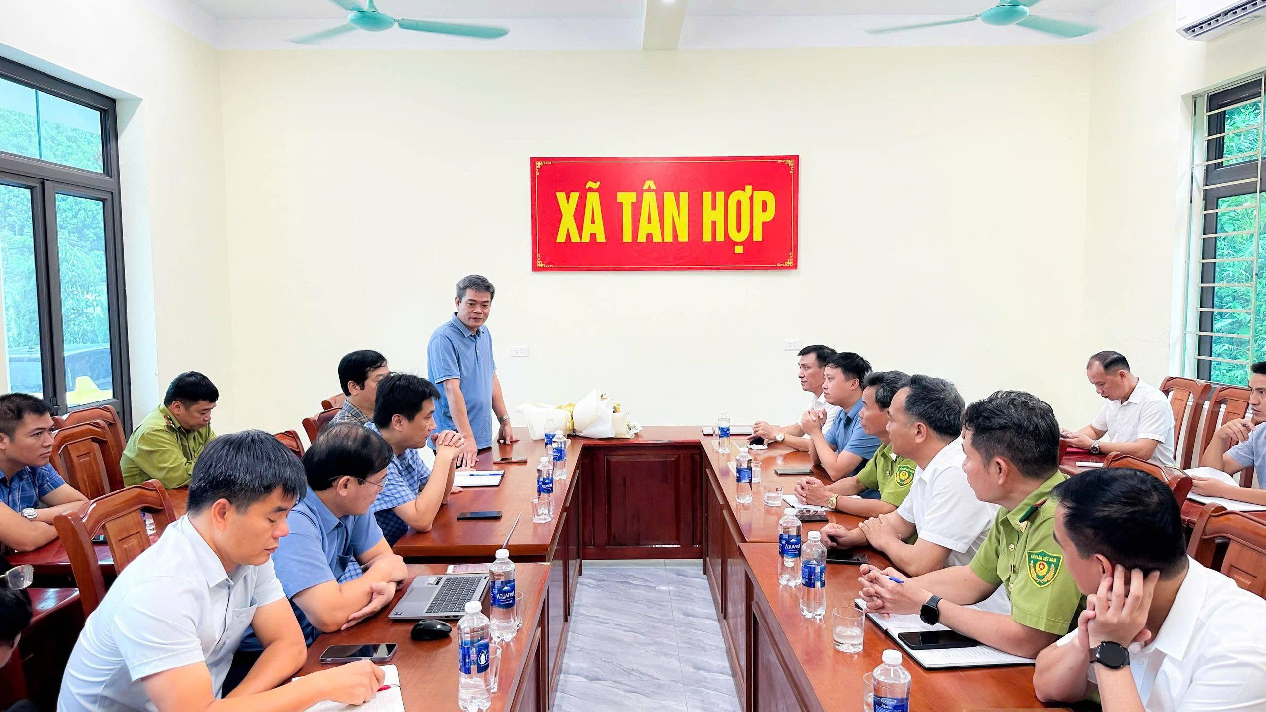 Kinh tế dưới tán rừng: Hướng làm giàu mới từ quế và dược liệu ở Lào Cai