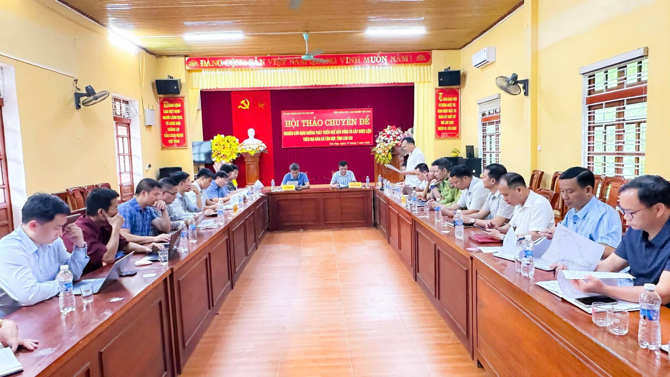 Kinh tế dưới tán rừng: Hướng làm giàu mới từ quế và dược liệu ở Lào Cai