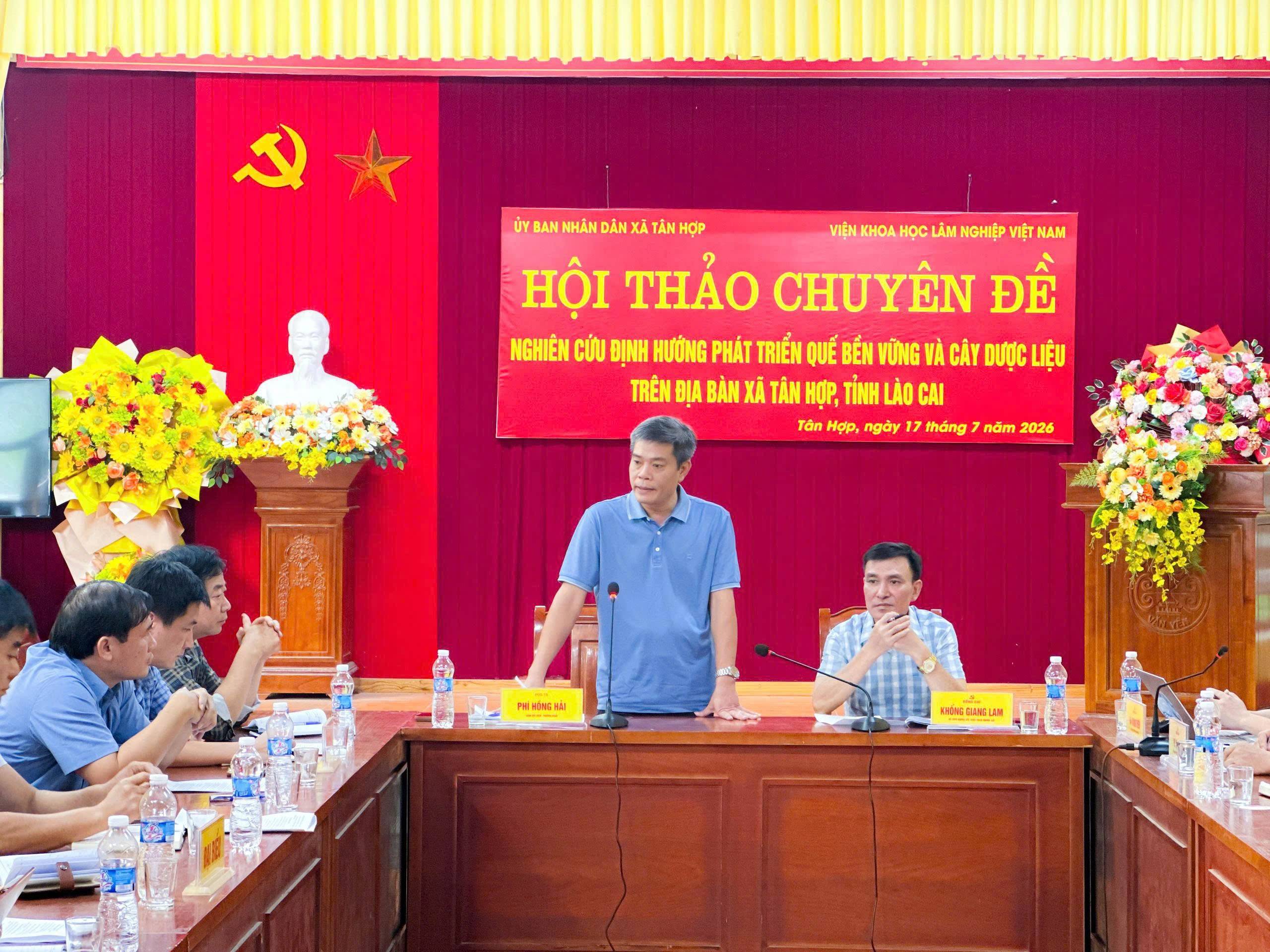 Kinh tế dưới tán rừng: Hướng làm giàu mới từ quế và dược liệu ở Lào Cai