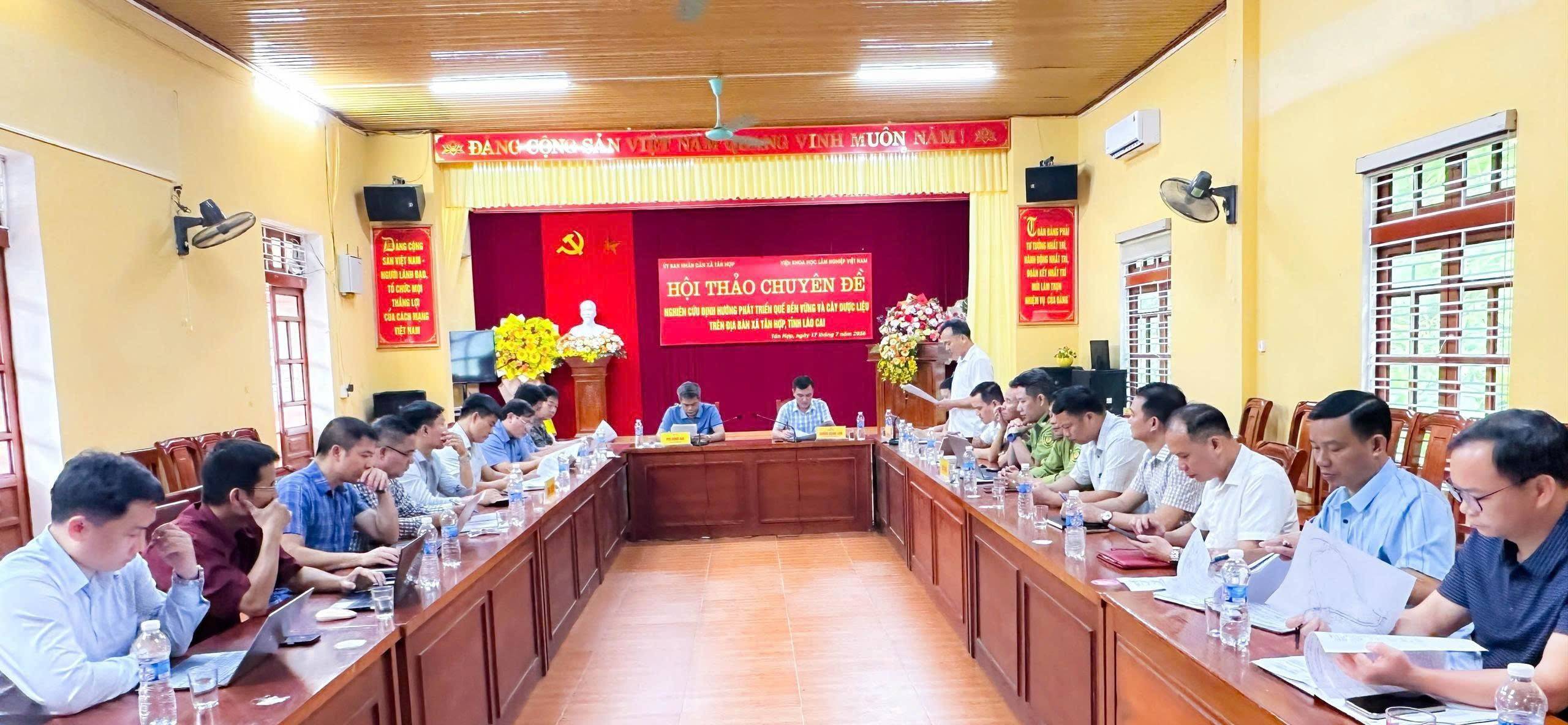 Kinh tế dưới tán rừng: Hướng làm giàu mới từ quế và dược liệu ở Lào Cai