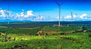 Gia Lai đấu thầu lựa chọn nhà đầu tư dự án điện gió gần 1.500 tỷ đồng