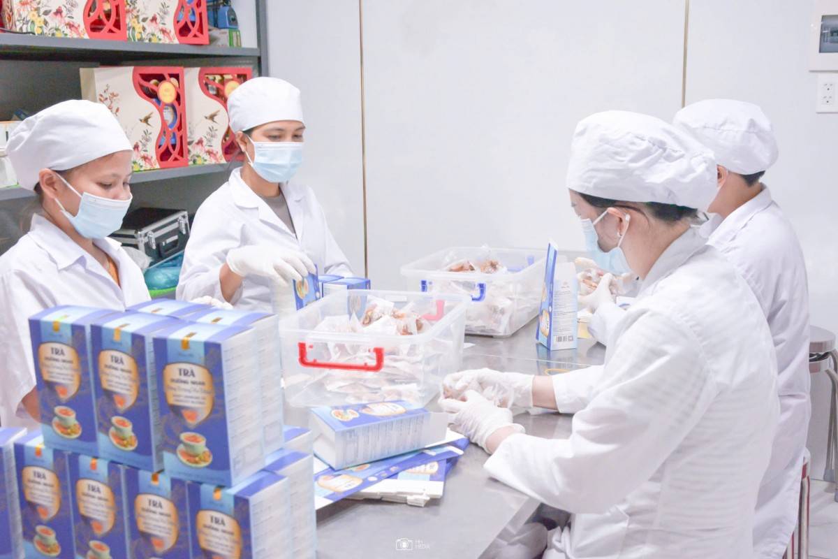 Quy trình sản xuất và đóng gói trà Đông trùng hạ thảo An Lục Vị Phúc An được thực hiện theo quy trình kiểm soát chất lượng chặt chẽ. Sản phẩm ứng dụng công nghệ sấy thăng hoa hiện đại nhằm góp phần bảo toàn hàm lượng hoạt chất, hương vị và màu sắc tự nhiên của nguyên liệu. Mỗi công đoạn, từ lựa chọn nguyên liệu, chế biến đến đóng gói, đều được kiểm soát theo các tiêu chuẩn chất lượng, hướng đến cung cấp sản phẩm an toàn, đáp ứng nhu cầu chăm sóc sức khỏe của người tiêu dùng.