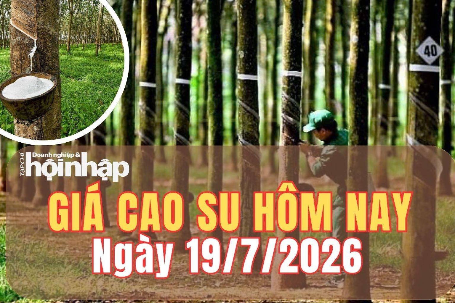 Giá cao su hôm nay 19/7/2026: Khép tuần, giá cao su thế giới biến động trái chiều, nội địa duy trì thế bình ổn