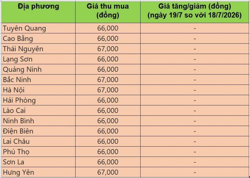 Bảng giá heo hơi tại miền Bắc hôm nay 19/7/2026