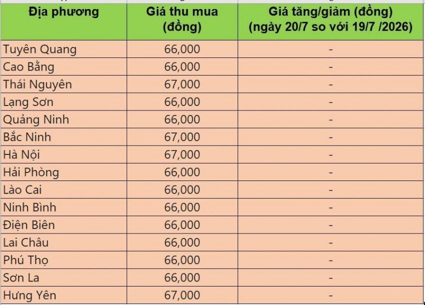 giá heo hơi