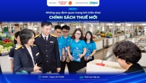Những quy định quan trọng khi triển khai chính sách thuế mới