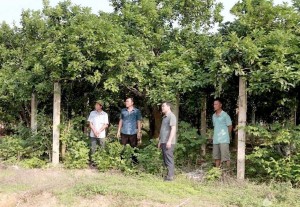 Tuyên Quang: Đồng thuận từ cơ sở mở đường cho các dự án trọng điểm