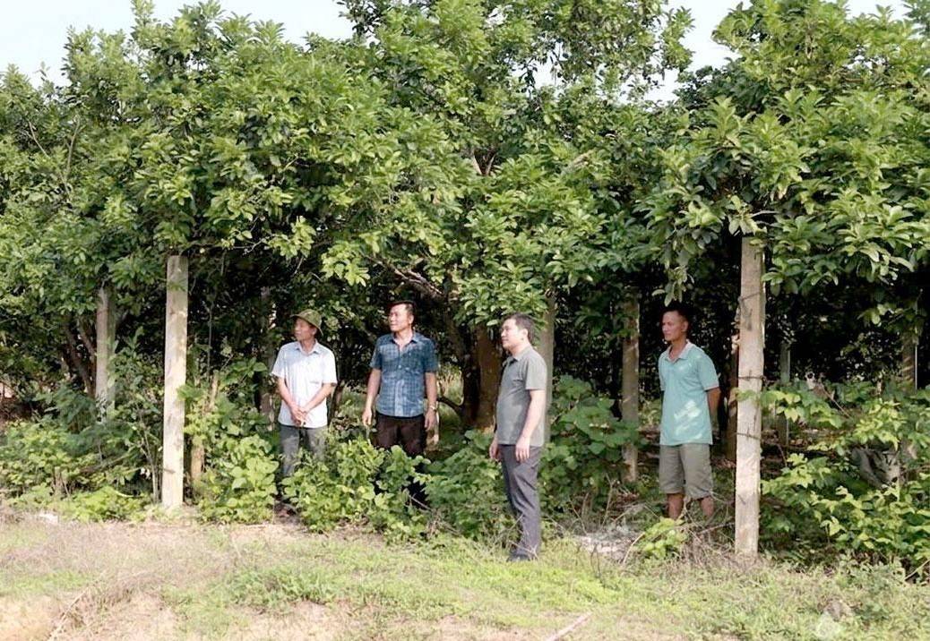 Tuyên Quang: Đồng thuận từ cơ sở mở đường cho các dự án trọng điểm