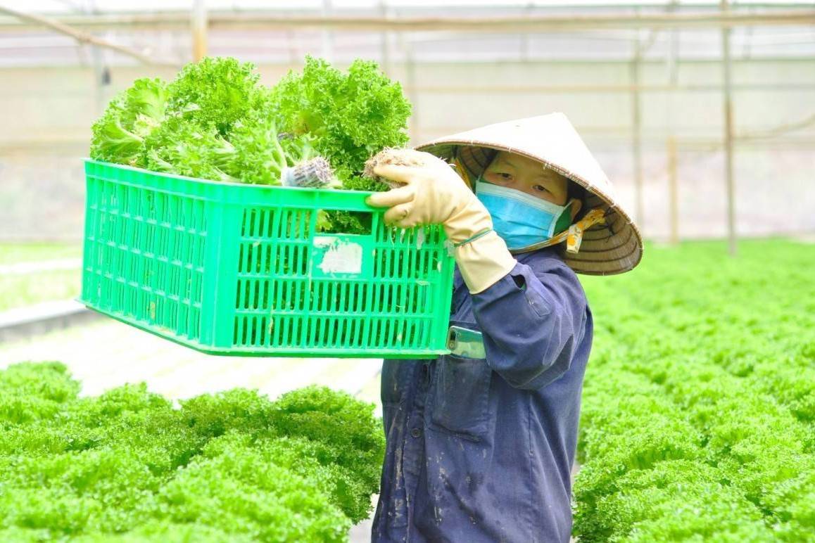 TP. Hồ Chí Minh đặt mục tiêu giảm ít nhất 15% phát thải khí nhà kính trong lĩnh vực trồng trọt đến năm 2035
