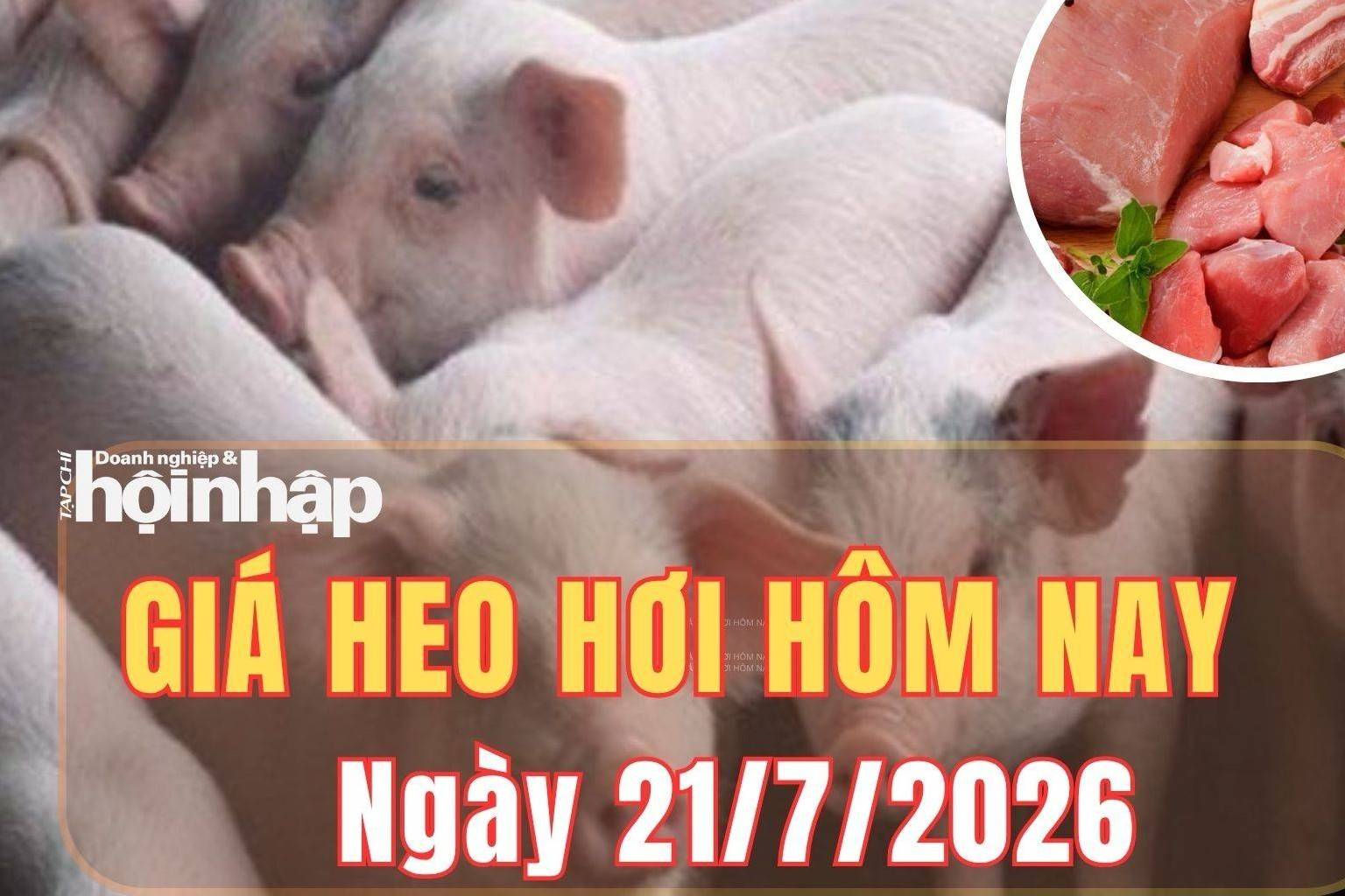 Giá heo hơi hôm nay 21/7/2026: Giá heo hơi giảm nhẹ tại một số địa phương
