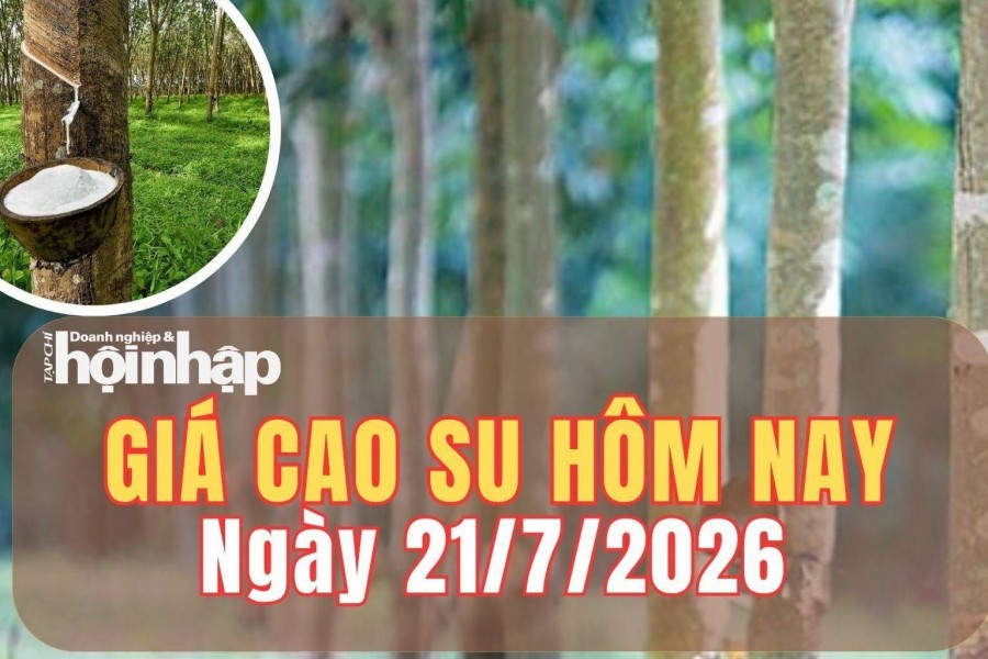 Giá cao su hôm nay 21/7/2026: Giá cao su thế giới lệch chiều trước áp lực từ sàn Thượng Hải