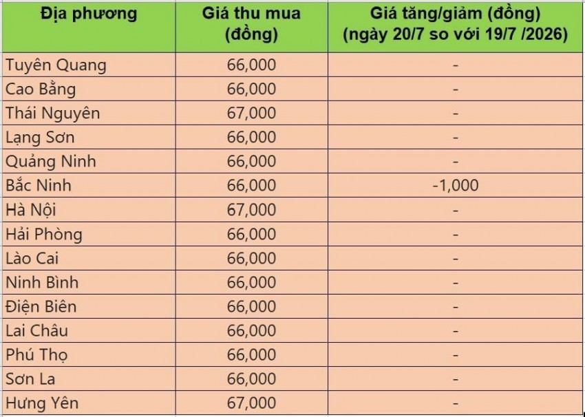 giá heo hơi