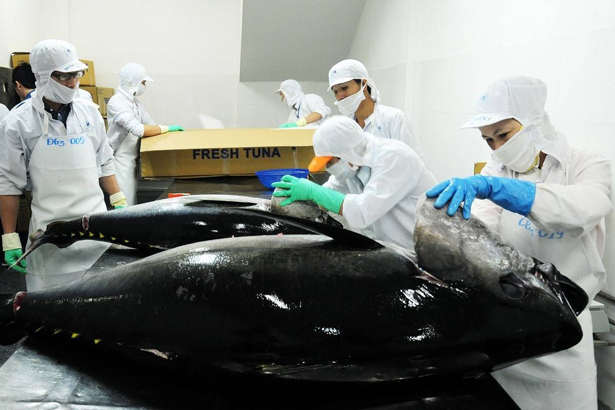Xuất khẩu thủy sản Việt Nam ghi nhận mức tăng trưởng ấn tượng khi thu về gần 6 tỷ USD trong 6 tháng đầu năm, tăng 13% so với cùng kỳ.