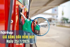 Giá xăng dầu hôm nay 25/7/2026: Giá dầu thế giới đảo chiều giảm mạnh