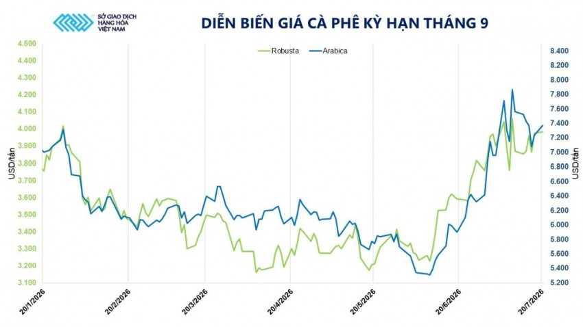 Tồn kho Arabica tiệm cận đáy 27 năm, giá cà phê thế giới hồi phục