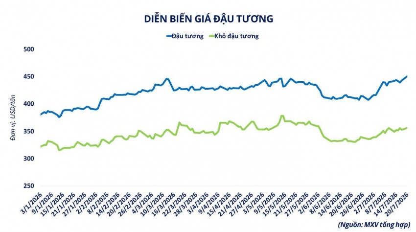 Giá đậu tương tiếp tục tăng nóng