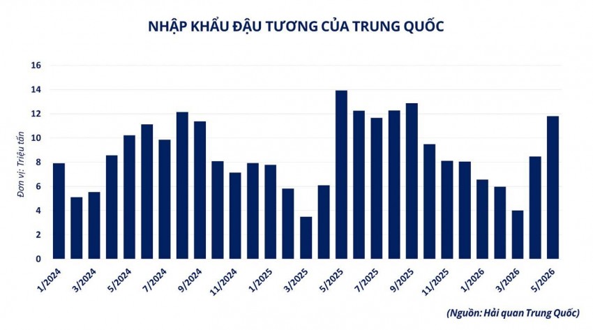 Giá đậu tương tiếp tục tăng nóng