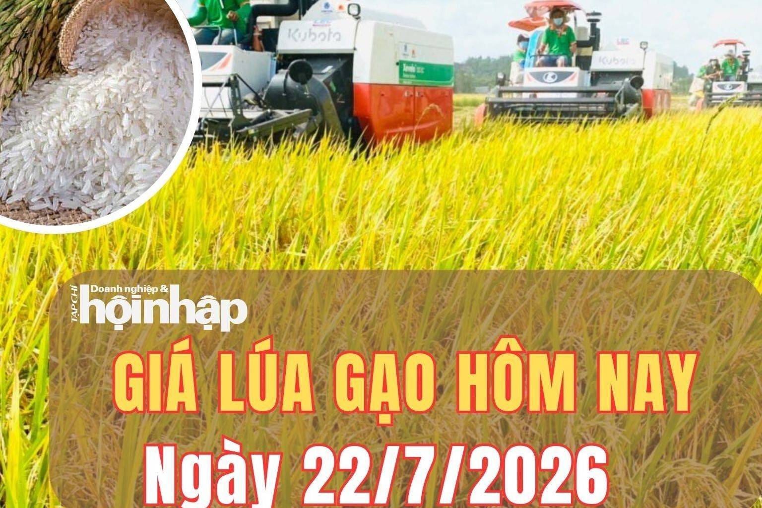 Giá lúa gạo hôm nay 22/7/2026: Giá gạo nguyên liệu tiếp đà tăng, thị trường xuất khẩu cạnh tranh