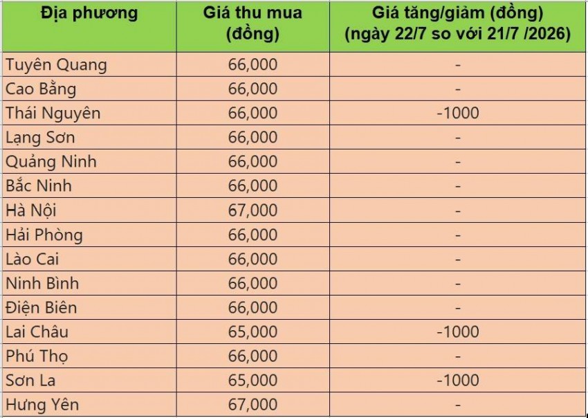giá heo hơi