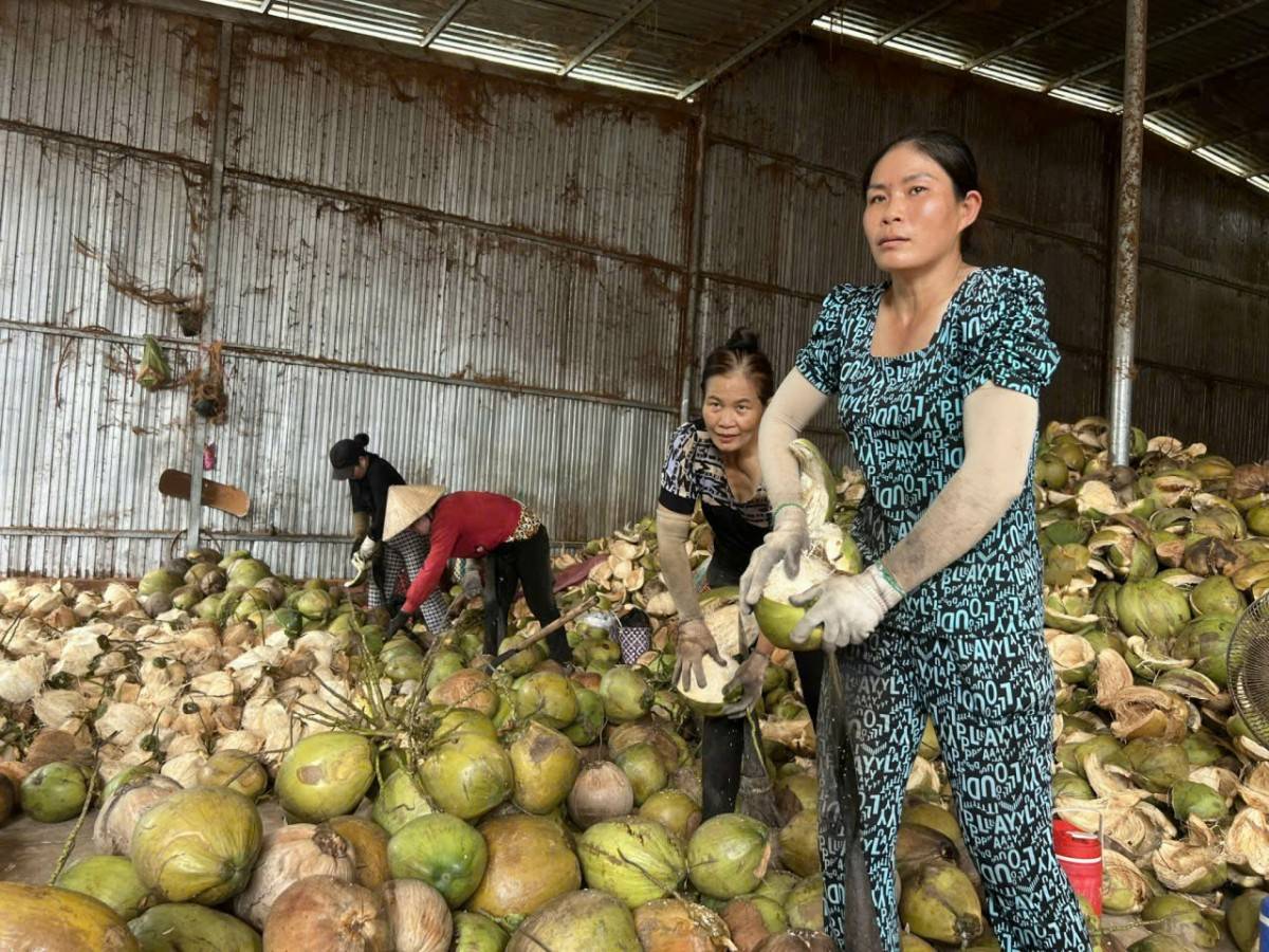 Làn gió mới trong kinh tế Vĩnh Long sau một năm sáp nhập