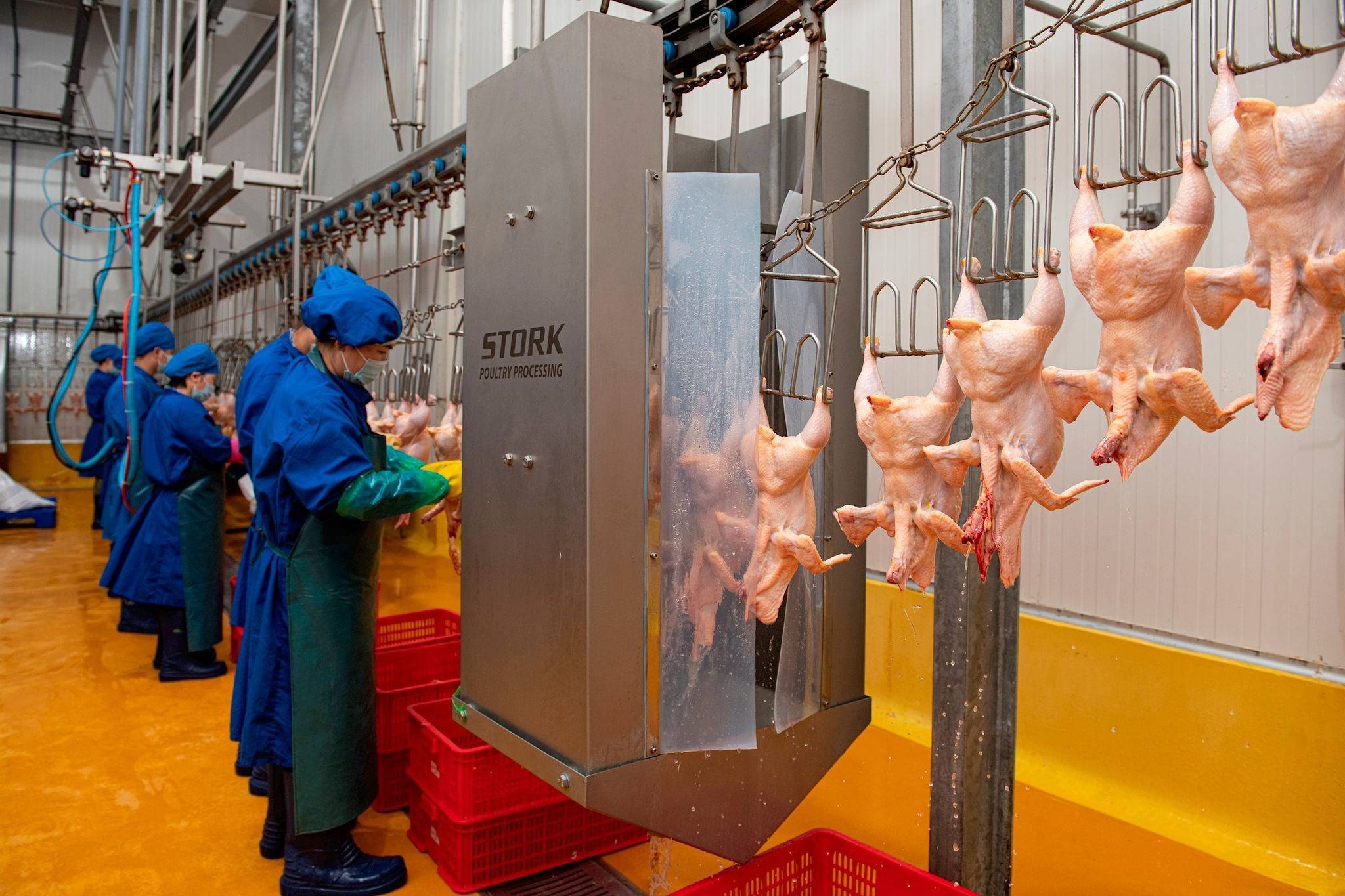 Hà Nội vận hành 52 cơ sở giết mổ tập trung, tăng kiểm soát an toàn thực phẩm