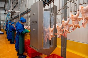 Hà Nội vận hành 52 cơ sở giết mổ tập trung, tăng kiểm soát an toàn thực phẩm