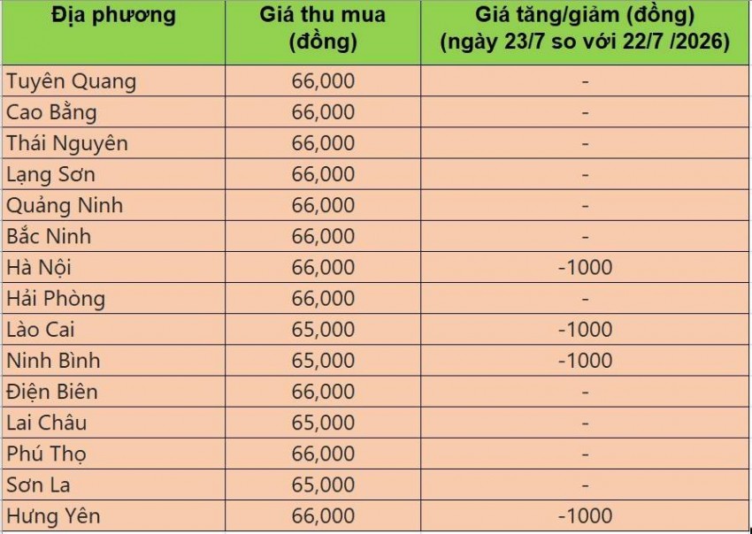 giá heo hơi