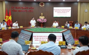 Đà Nẵng - Quảng Ngãi liên kết hình thành cực tăng trưởng mới của miền Trung